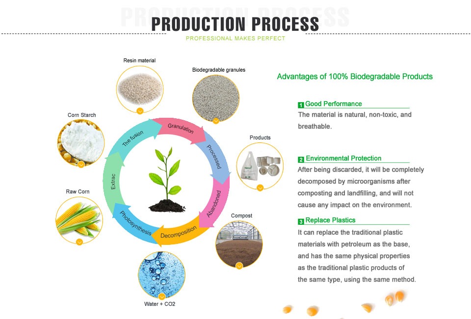 Biodegradable granules making machine